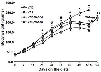 Replenishment of vitamin A for 7 days partially restored hepatic gene expressions altered by its deficiency in rats